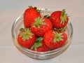 Bowl of Strawberries