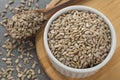 Bowl with sunflower seeds Royalty Free Stock Photo