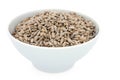Bowl of Sunflower Seeds Royalty Free Stock Photo