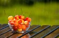 Bowl of Sweet Rainier Cherries in Rain Royalty Free Stock Photo