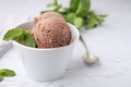 Bowl with tasty chocolate ice cream and mint leaves on white table, closeup. Space for text Royalty Free Stock Photo
