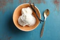 Bowl with tasty vanilla ice cream Royalty Free Stock Photo