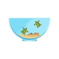 Bowl terrarium with little swimming turtles. Marine reptiles concept. Domestic animals. Home decoration. Graphic vector