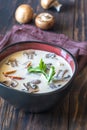 Bowl of thai tom kha soup Royalty Free Stock Photo