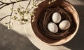 A bowl with three eggs and a nest of twigs Royalty Free Stock Photo
