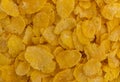 Bowl of toasted corn cereal close view