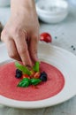 Bowl of tomato soup with basil on white background. Cold pink tomato soup. Restaurant supply. The chef decorates the dish.
