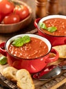 Bowl of tomato soup garnished with basil leaves Royalty Free Stock Photo