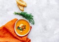 Bowl of tomato soup Royalty Free Stock Photo
