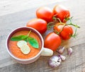 Bowl of tomato soup gaspacho Royalty Free Stock Photo