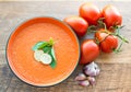 Bowl of tomato soup gaspacho Royalty Free Stock Photo