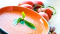 Bowl of tomato soup gaspacho Royalty Free Stock Photo
