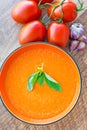 Bowl of tomato soup gaspacho Royalty Free Stock Photo