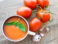 Bowl of tomato soup gaspacho Royalty Free Stock Photo