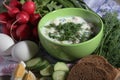 A bowl with traditinal Russian cuisine soup okroshka Royalty Free Stock Photo