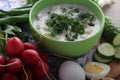 A bowl with traditinal Russian cuisine soup okroshka