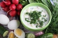 A bowl with traditinal Russian cuisine soup okroshka