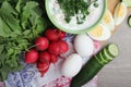 A bowl with traditinal Russian cuisine soup okroshka Royalty Free Stock Photo