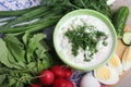 A bowl with traditinal Russian cuisine soup okroshka Royalty Free Stock Photo