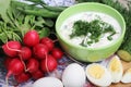 A bowl with traditinal Russian cuisine soup okroshka Royalty Free Stock Photo