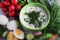 A bowl with traditinal Russian cuisine soup okroshka Royalty Free Stock Photo