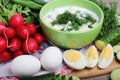 A bowl with traditinal Russian cuisine soup okroshka Royalty Free Stock Photo