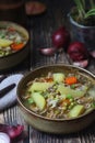 A bowl with traditional German dish - stew Eintopf