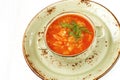 Bowl  with traditional Russian cabbage soup Royalty Free Stock Photo