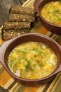 Bowl with traditional Russian cabbage soup Royalty Free Stock Photo