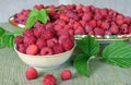 Bowl and tray natural ripe berries and green leaves on a wooden table Royalty Free Stock Photo