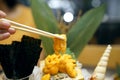 A bowl of uni sashimi on ice served with shredded radish, Fresh sea urchin roe. Royalty Free Stock Photo