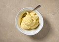 bowl of vanilla ice cream Royalty Free Stock Photo