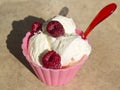 Bowl of vanilla ice cream with raspberries Royalty Free Stock Photo