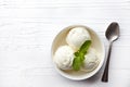 Bowl of vanilla ice cream Royalty Free Stock Photo