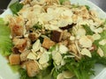 Bowl of Vegan Caesar Salad