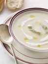 Bowl of Vichyssoise with oil and Rustic Bread Royalty Free Stock Photo