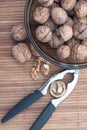 Bowl of Walnuts in the Shells