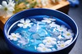bowl of water with floating flowers for hydropathic therapy Royalty Free Stock Photo