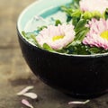 Bowl of water and flowers Royalty Free Stock Photo