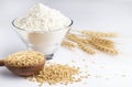 bowl of wheat flour or wheat grain Royalty Free Stock Photo