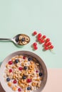 Bowl of whole grain cereal rings with blueberries isolated on pastel background.breakfast of cereal with blueberries,red Royalty Free Stock Photo