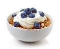 Bowl of whole grain muesli with yogurt and blueberries isolated Royalty Free Stock Photo