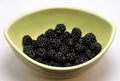 Bowl of wild blackberries