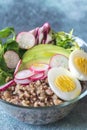 Bowl of wild rice with avocado, egg and lettuce Royalty Free Stock Photo
