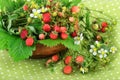 Bowl with woodland strawberry on rustic background Royalty Free Stock Photo