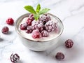 bowl with yogurt decorated with frozen berries Royalty Free Stock Photo