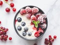 bowl with yogurt decorated with frozen berries Royalty Free Stock Photo