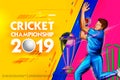 Bowler bowling in cricket championship sports 2019 Royalty Free Stock Photo