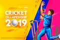 Bowler bowling in cricket championship sports 2019 Royalty Free Stock Photo