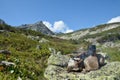 Bowler on fire Barguzinsky Ridge on Lake Baikal. Royalty Free Stock Photo